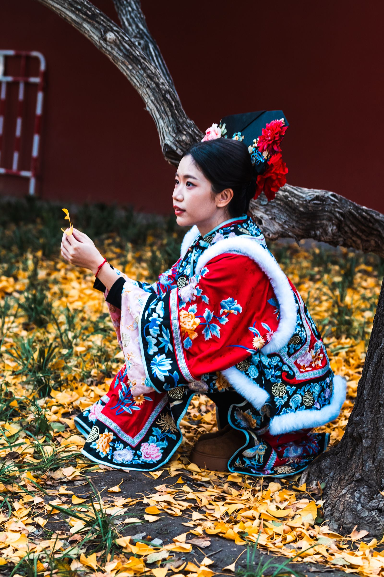 Woman wearing traditional Chinese Hanfu amidst fallen ginkgo leaves